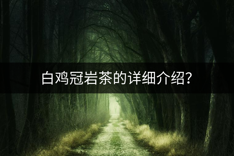 白雞冠巖茶的詳細(xì)介紹？