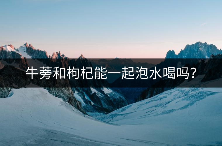 牛蒡和枸杞能一起泡水喝嗎？