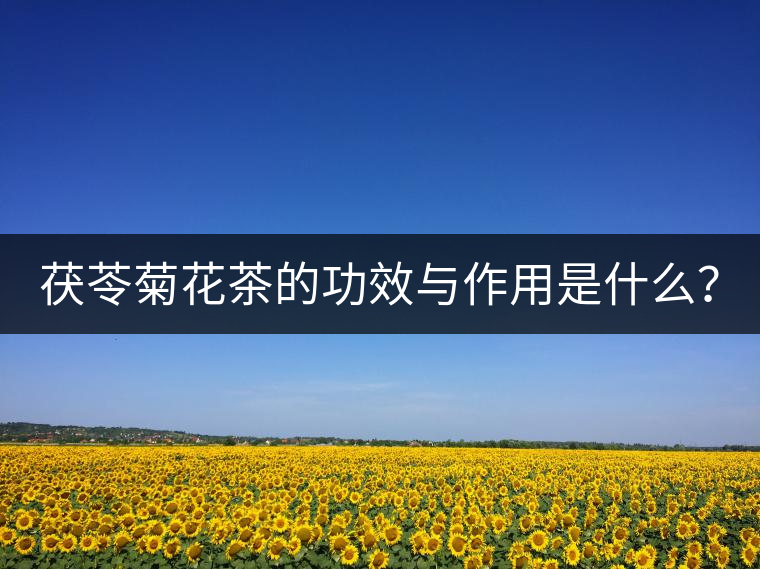 茯苓菊花茶的功效與作用是什么？