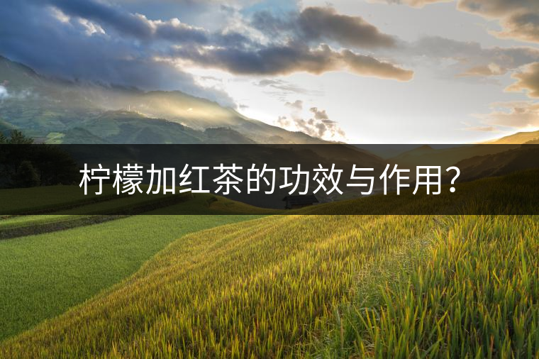 檸檬加紅茶的功效與作用？