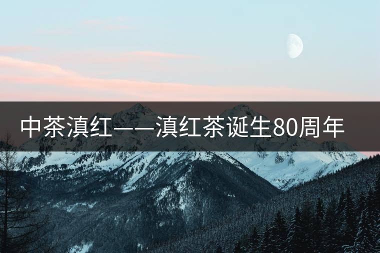 中茶滇紅——滇紅茶誕生80周年紀(jì)念 中茶滇紅——滇紅茶誕生80周年紀(jì)念