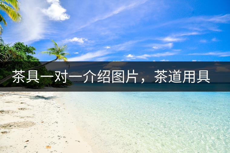 茶具一對(duì)一介紹圖片，茶道用具圖解