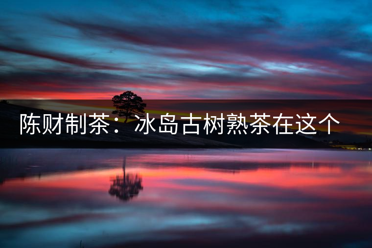 陳財制茶：冰島古樹熟茶在這個世界真的存在嗎？