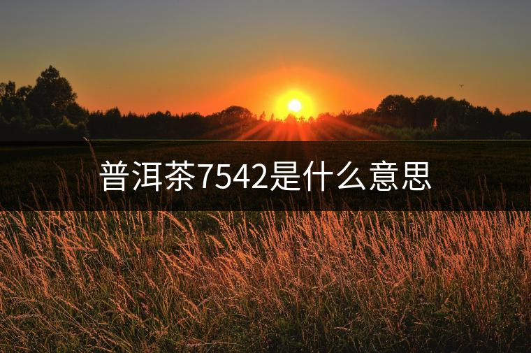 普洱茶7542是什么意思 普洱茶7542是什么意思