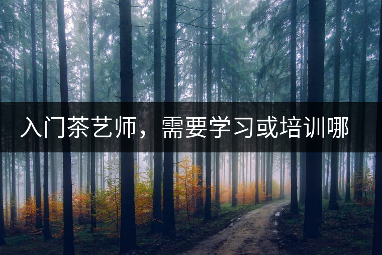入門茶藝師，需要學習或培訓哪些知識