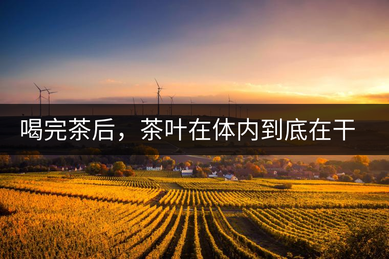 喝完茶后，茶葉在體內(nèi)到底在干嘛，游走的茶水
