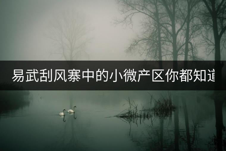 易武刮風寨中的小微產(chǎn)區(qū)你都知道嗎？