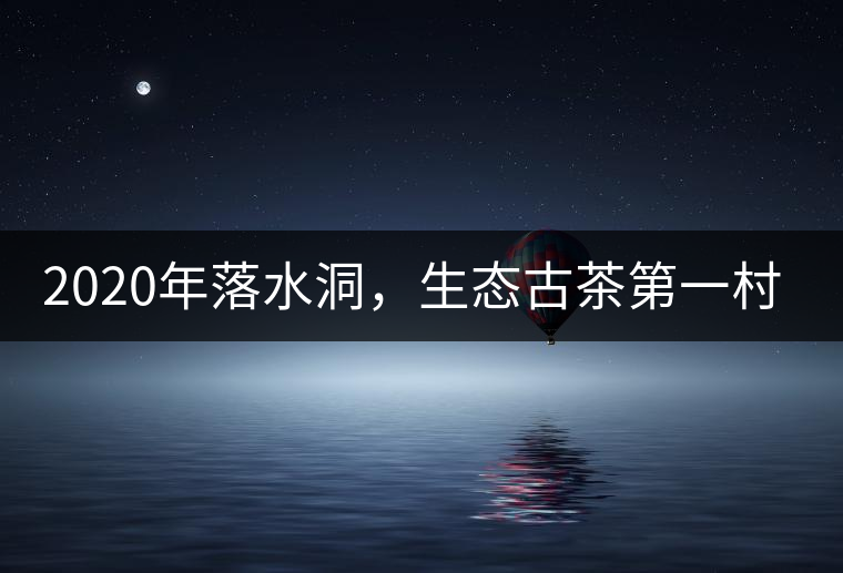2020年落水洞，生態(tài)古茶第一村-易武中聘號(hào)
