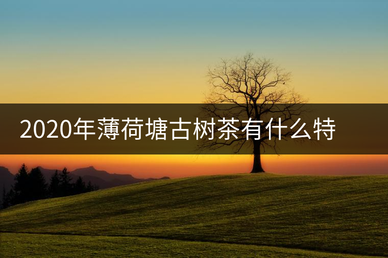 2020年薄荷塘古樹茶有什么特征？薄荷塘的價(jià)格及產(chǎn)量如何？-易武中聘號(hào)