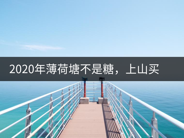 2020年薄荷塘不是糖，上山買(mǎi)茶除了帶鈔票還得搖號(hào)-易武中聘號(hào)