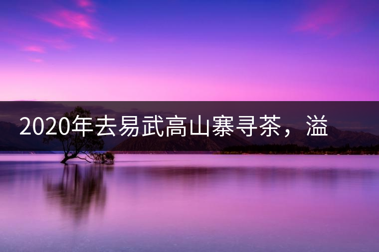 2020年去易武高山寨尋茶，溢滿茶香的古樹寨子-易武中聘號