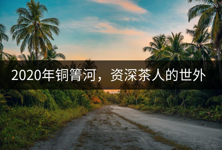 2020年銅箐河，資深茶人的世外桃源-易武-易武中聘號