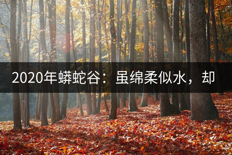 2020年蟒蛇谷：雖綿柔似水，卻氣場(chǎng)十足-易武中聘號(hào)