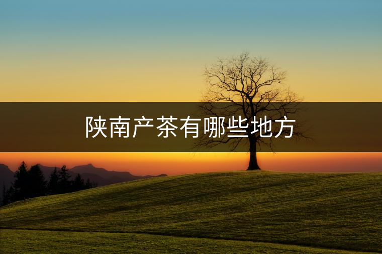 陜南產茶有哪些地方