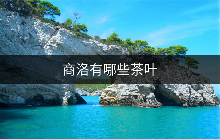 商洛有哪些茶葉 商洛有哪些茶葉