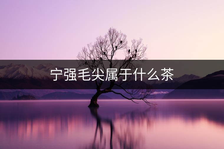 寧強(qiáng)毛尖屬于什么茶