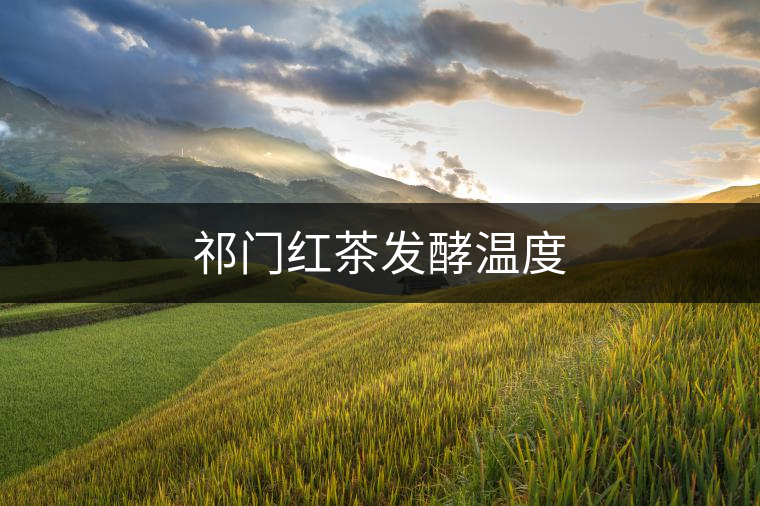 祁門(mén)紅茶發(fā)酵溫度