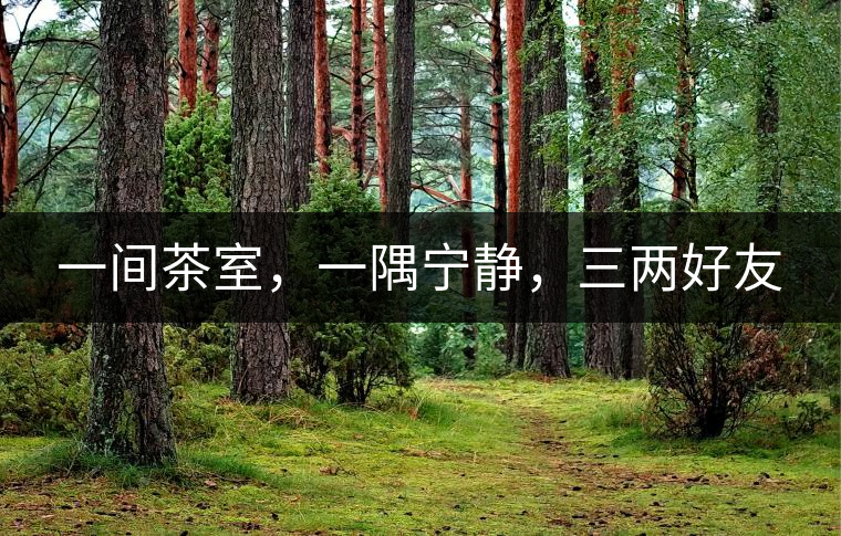 一間茶室，一隅寧靜，三兩好友