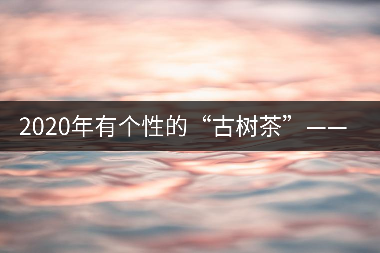 2020年有個性的“古樹茶”——一扇磨-易武中聘號
