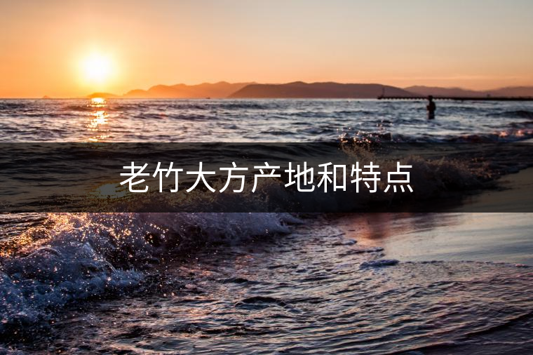 老竹大方產(chǎn)地和特點
