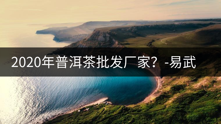 2020年普洱茶批發(fā)廠家？-易武中聘號