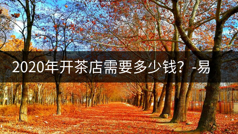 2020年開茶店需要多少錢？-易武中聘號(hào)