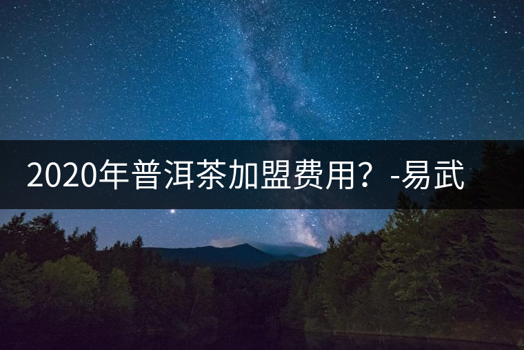 2020年普洱茶加盟費(fèi)用？-易武中聘號(hào)