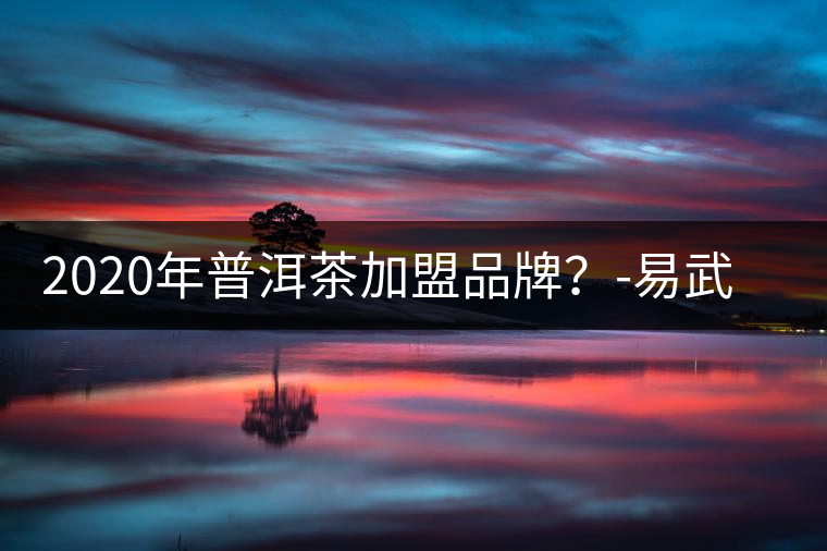 2020年普洱茶加盟品牌？-易武中聘號