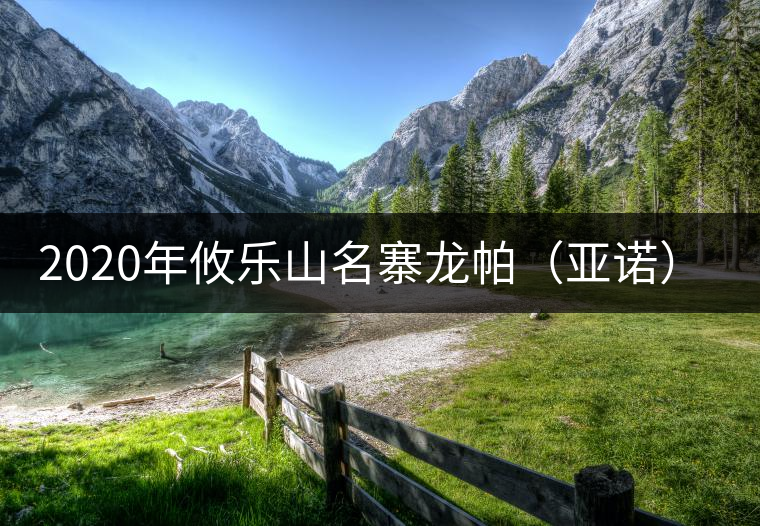 2020年攸樂山名寨龍帕(亞諾)古樹茶茶-易武中聘號 2020年攸樂山名寨龍帕(亞諾)古樹茶茶-易武中聘號