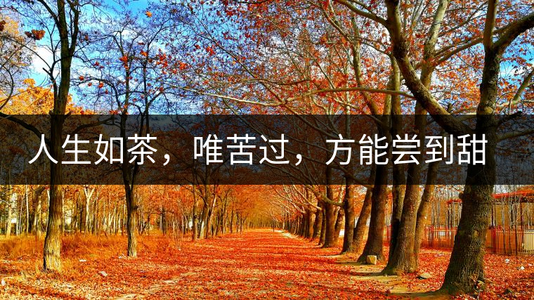 人生如茶，唯苦過(guò)，方能嘗到甜滋味