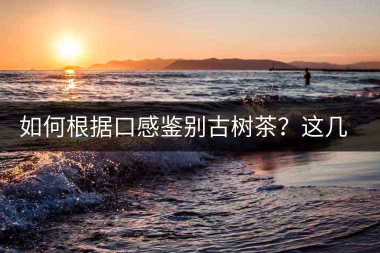 如何根據(jù)口感鑒別古樹茶？這幾個(gè)技巧值得收藏