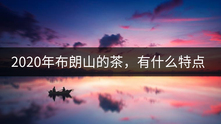 2020年布朗山的茶，有什么特點(diǎn)？-易武中聘號