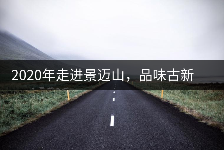 2020年走進(jìn)景邁山，品味古新六大茶山古樹茶之韻-易武中聘號