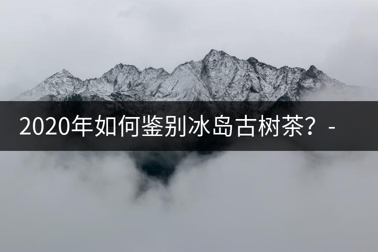 2020年如何鑒別冰島古樹(shù)茶？-易武中聘號(hào)