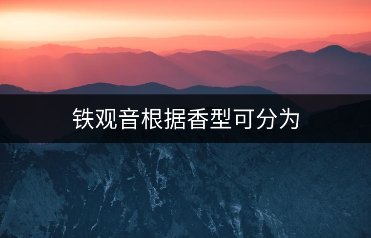 鐵觀音根據(jù)香型可分為