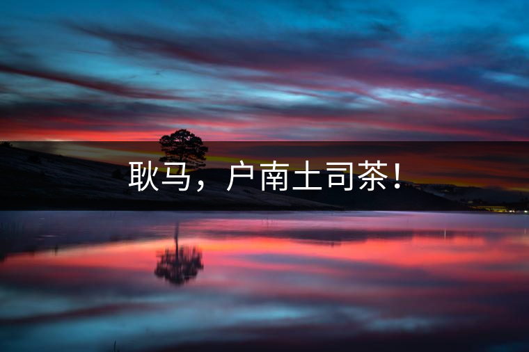 耿馬，戶南土司茶！