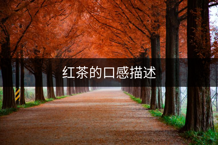 紅茶的口感描述