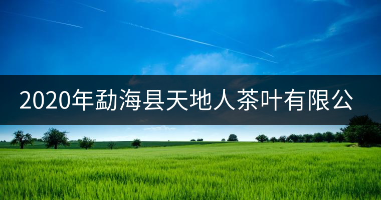 2020年勐?？h天地人茶葉有限公司簡(jiǎn)介