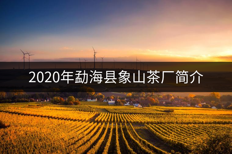 2020年勐海縣象山茶廠(chǎng)簡(jiǎn)介