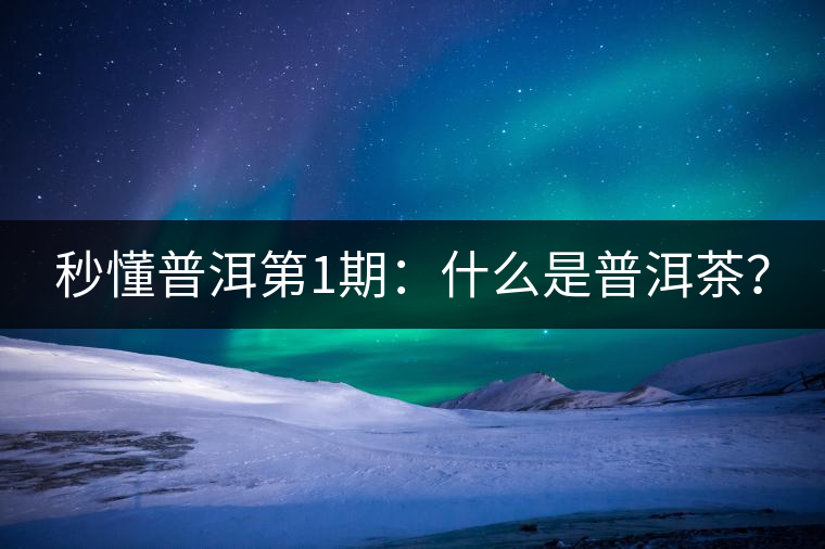 秒懂普洱第1期：什么是普洱茶？