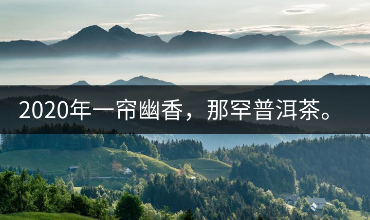 2020年一簾幽香，那罕普洱茶。-易武中聘號