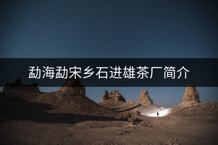 勐海勐宋鄉(xiāng)石進(jìn)雄茶廠簡介 勐海勐宋鄉(xiāng)石進(jìn)雄茶廠簡介