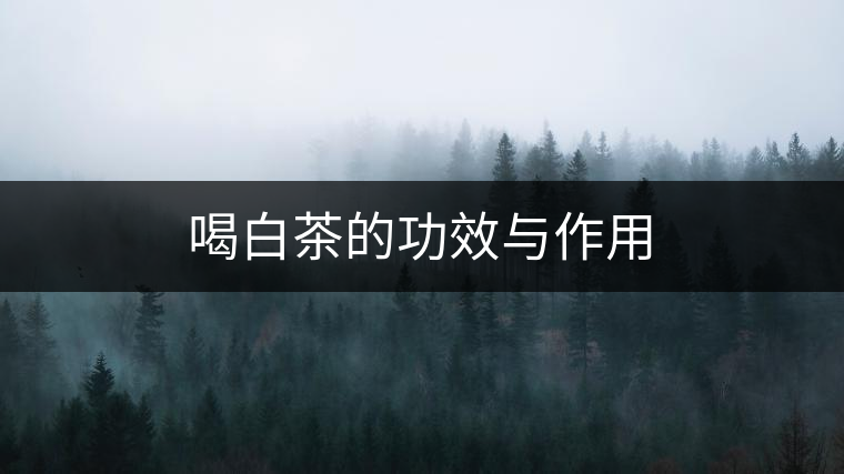 喝白茶的功效與作用