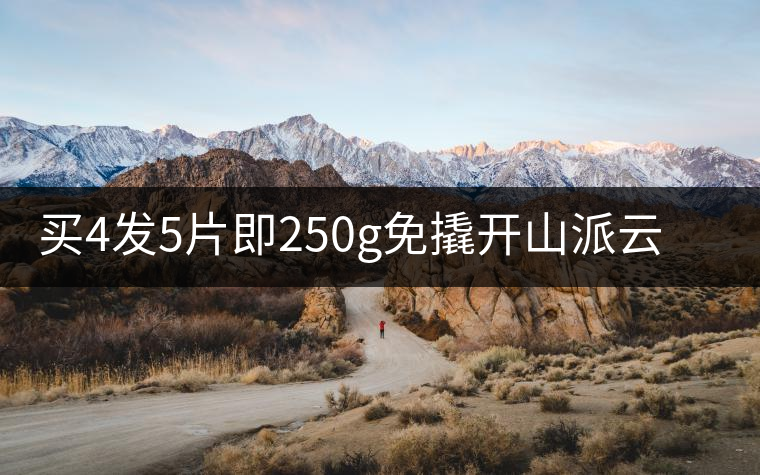 買(mǎi)4發(fā)5片即250g免撬開(kāi)山派云南純料老熟普茶葉黑茶 普洱茶熟茶磚