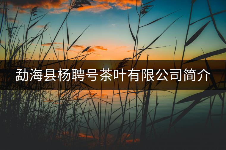 勐?？h楊聘號茶葉有限公司簡介