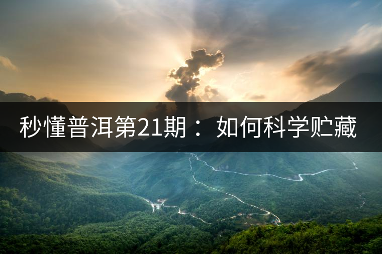 秒懂普洱第21期 ：如何科學貯藏普洱茶？