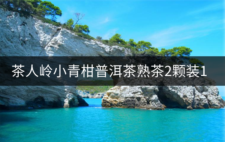 茶人嶺小青柑普洱茶熟茶2顆裝18克新會青柑云南普洱茶葉包郵