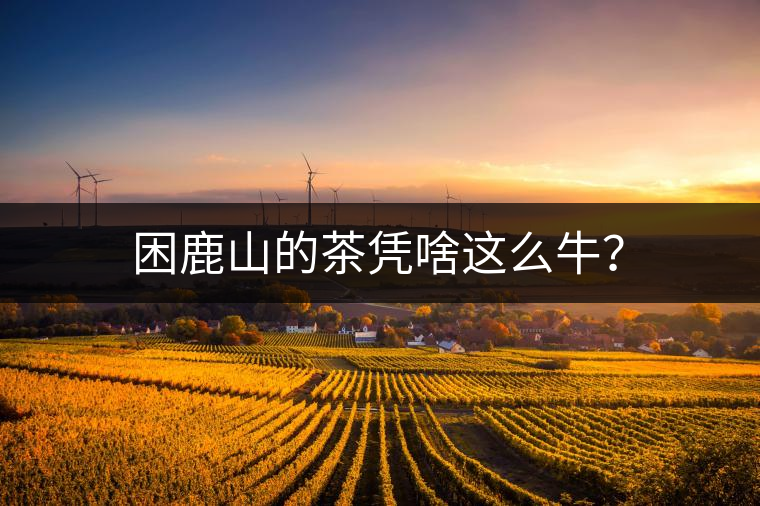 困鹿山的茶憑啥這么牛？
