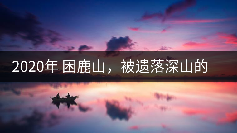 2020年 困鹿山，被遺落深山的皇家古茶園-易武中聘號