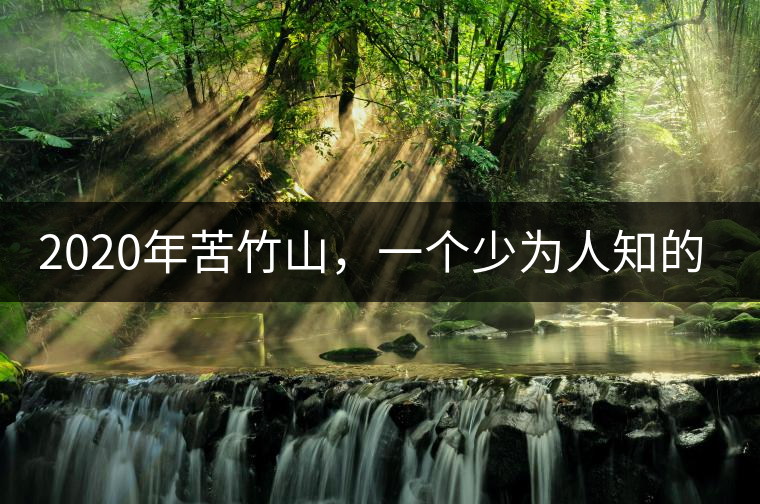 2020年苦竹山，一個少為人知的后起之秀！-易武中聘號